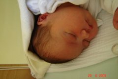 DSC00183_jpg