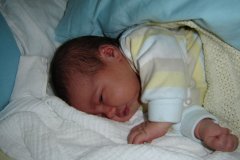 DSC00246_jpg