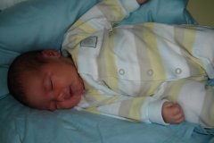 DSC00255_jpg