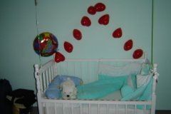 DSC00278_jpg
